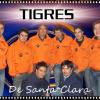 TIGRES DE SANTA CLARA