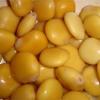 soyunlupin
