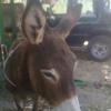 richar_76