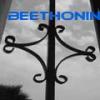 beethonin