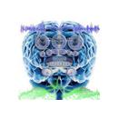 brainvocoder