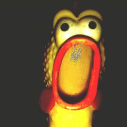 singer