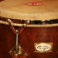 percusioncampos