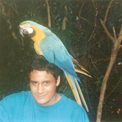 elmusicoypintorfaird