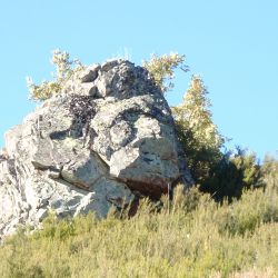 loopherzio