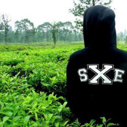 idcb92