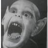 lisboetas