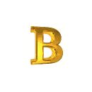 BranXtarT