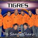 TIGRES DE SANTA CLARA
