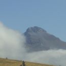 Ibón Gárate