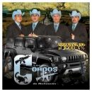 LOS COMPAS DE MICHOACAN