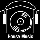 dj_falsi