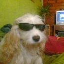 miguelonn
