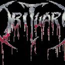 darkzone