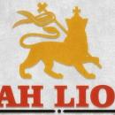 elhalcon