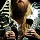 luxoguitar