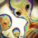 Tomy.M