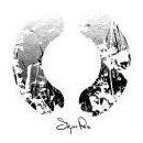 MookiesLastChristmas