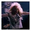 guns n' green