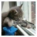 Gato_de_juguete