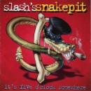 s_snakepit
