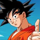 gol300