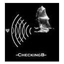 CheckingB