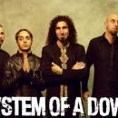 aguante soad!!!