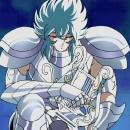 D·knight