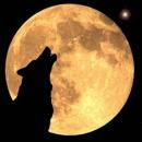 Wolf Spirit