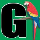 gaceta