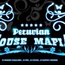 peruvianhousemafia