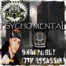 psychomentalchamberz