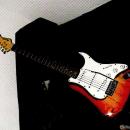 Fretmaster-Pro-Guitar