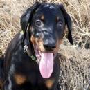 Juan Pedro Ibor Belbeze