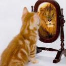 hambucker.....strato