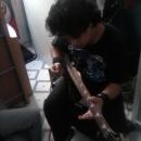 rockfan2410