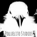 Polluelito Studios