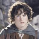 frodo_bolson