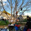 Carlos Palao Martinez