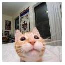 Michael Angelo Melendez Valdivia