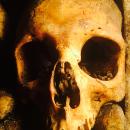 Pablo Nicolas Solinas