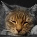 alejandro.miranda.raposo