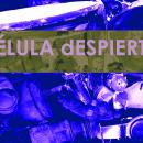 gonzalo.sumasimainero