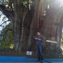 traceur_novato_valencia