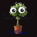 SrFicus
