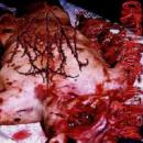 cannibal necrosoldier