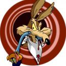 Coyote45