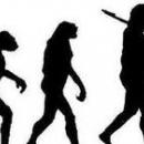 evoluo