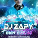 dj zapy